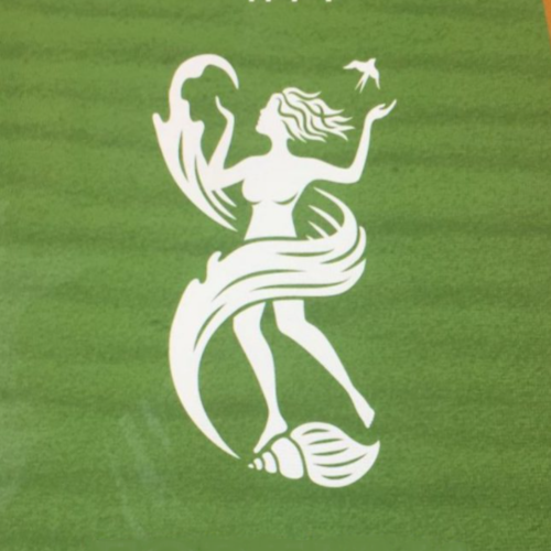 fortuna vlieland logo